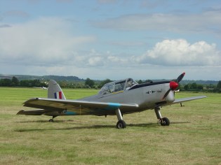 A beautiful Chipmunk